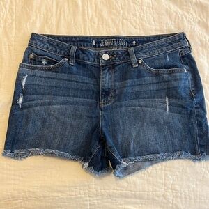 Jennifer Lopez Distressed Denim Shorts size 10